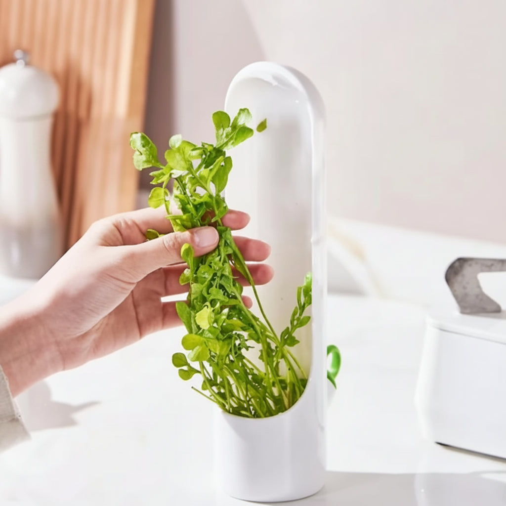 boite de conservation alimentaire avec fines herbes
