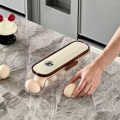 Boite à oeufs rangement 