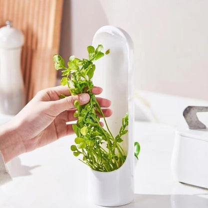 boite de conservation alimentaire avec fines herbes