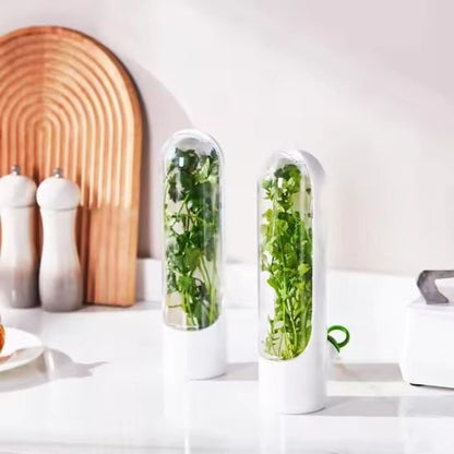 boite de conservation alimentaire avec persil