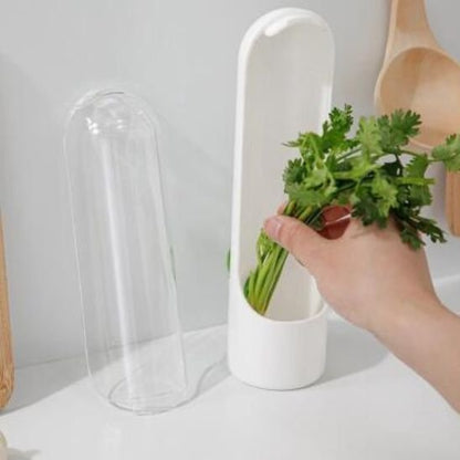 femme qui depose persil dans boite de conservation alimentaire